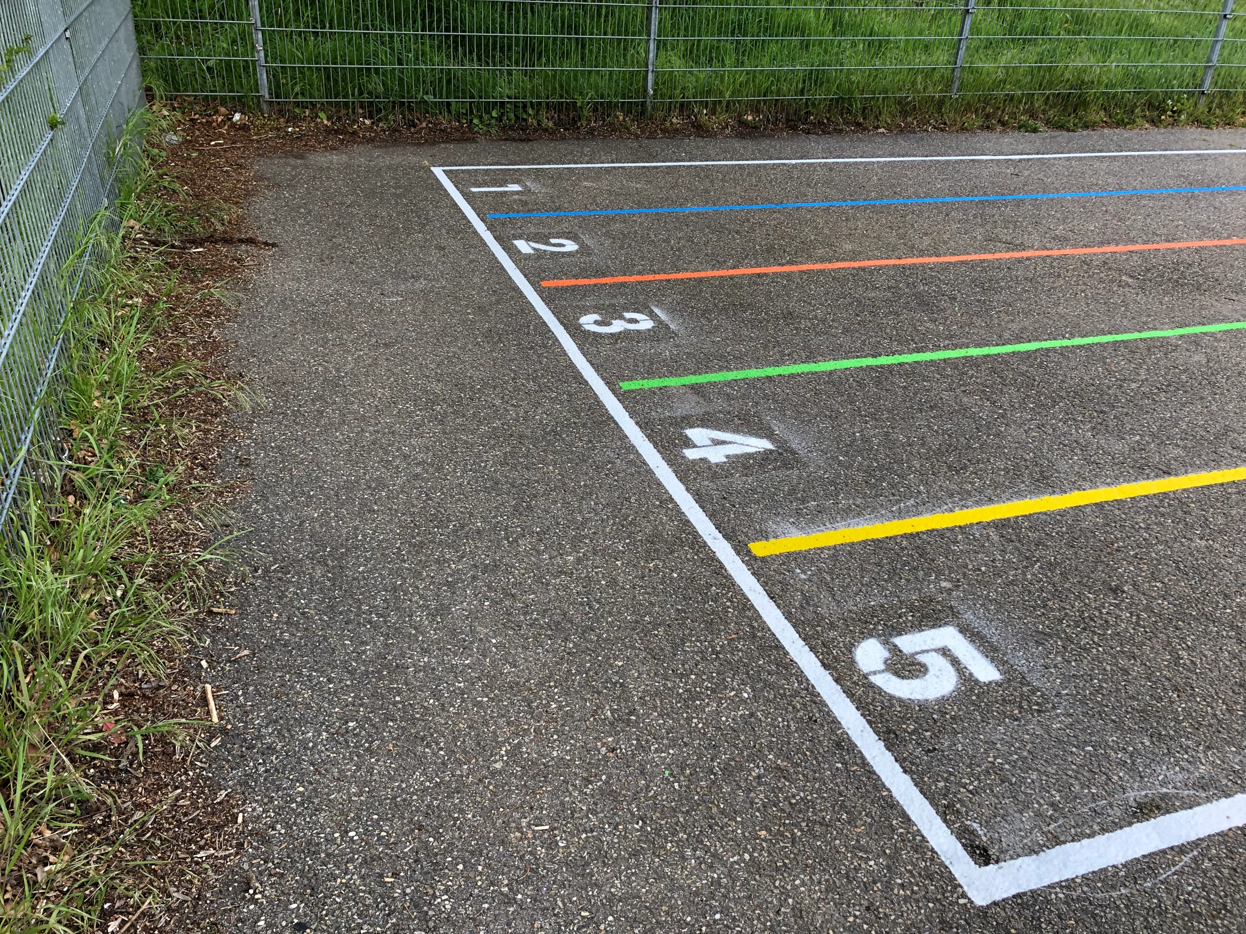 gallery grid image